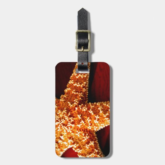 星 ラゲッジタグ (正面縦)