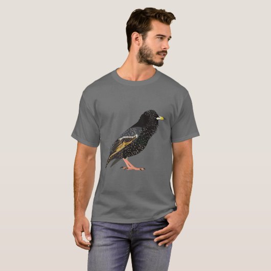 星 Tシャツ (正面フル)