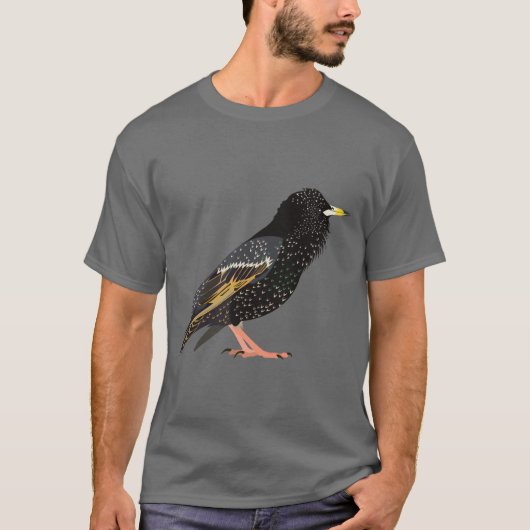 星 Tシャツ (正面)