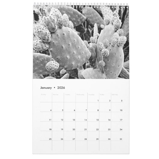 星B&Wの写真撮影のカレンダー-ケリーのワインによる… カレンダー (1月 2026)