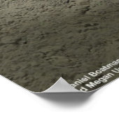 映画のポスターを知りたがっている ポスター (角)