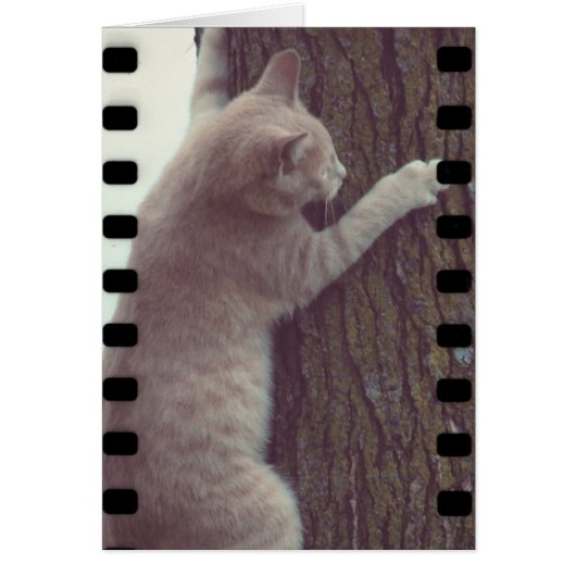 映画のラスカル (正面)