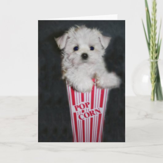 映画の夜の挨拶 カード (正面)