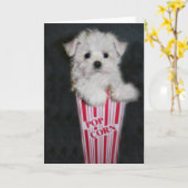 映画の夜の挨拶 カード (黄色い花)