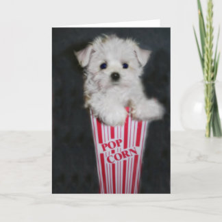 映画の夜の挨拶 カード