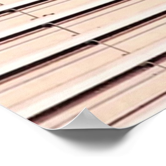 映画ウォーフラワーというパークス ポスター (角)