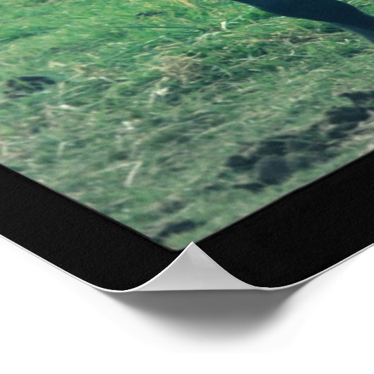 映画デジタルアートの古い馬の写真 ポスター (角)