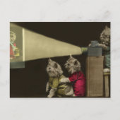 映画夜 ポストカード (正面)