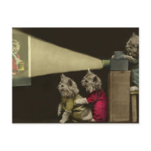 映画夜