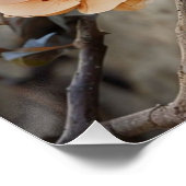 映画自然：劇的なフローライラストレーション ポスター (コーナー)