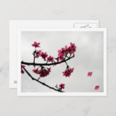 春あいさつ/さくらんぼ咲き漢字 ポストカード (正面/裏面)