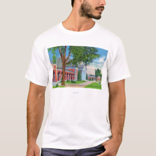 春および地面のホールの外観 Tシャツ
