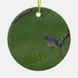 春かイースター: オスのブルーバード、メスのブルーバード セラミックオーナメント