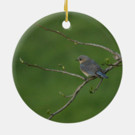 春かイースター: オスのブルーバード、メスのブルーバード セラミックオーナメント