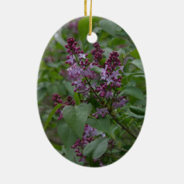 春かイースター: 好奇心が強い子ヒツジ、叙情詩的なlylacs セラミックオーナメント