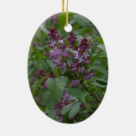 春かイースター: 好奇心が強い子ヒツジ、叙情詩的なlylacs セラミックオーナメント (裏面)