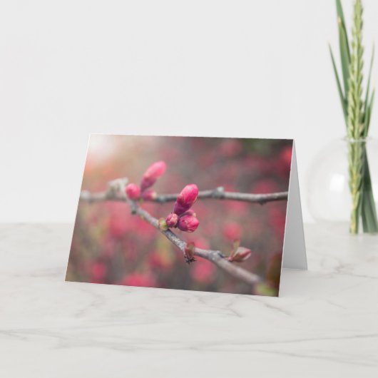 春が出る カード (正面)