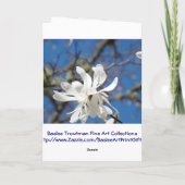 春が来た!グリーティングカードホワイトマグノリア カード (裏面)