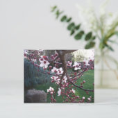 春が来た ポストカード (スタンド正面)