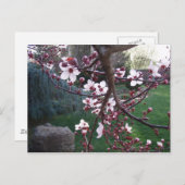 春が来た ポストカード (正面/裏面)