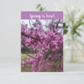 春が来た！挨拶状 カード (スタンド正面)