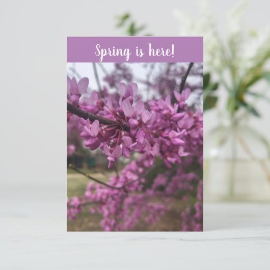 春が来た！挨拶状 カード (スタンド正面)