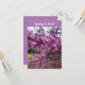 春が来た！挨拶状 カード (正面/裏面インサイチュ)
