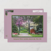 「春が森に爆発する」 ポストカード (正面/裏面)