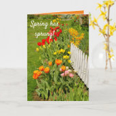 春が生まれかわいらした春園 カード (黄色い花)
