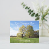 春が発生 ポストカード (スタンド正面)