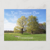 春が発生 ポストカード (正面)