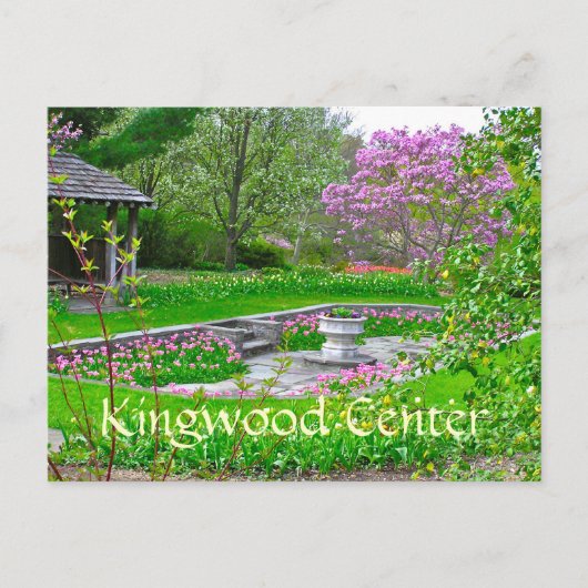 春が美しい色で爆発» ポストカード (正面)