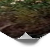 春が花の1つの緑のラップを広げる – 1910 ポスター (角)