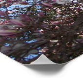 春さくらんぼの花 ポスター (角)