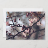 春さくらんぼブロッサムバースデーパーティ招待状 招待状 (裏面)