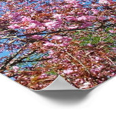 春さくらんぼ咲く木の青い空 ポスター (角)