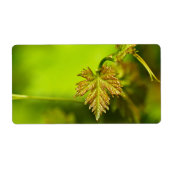 春つる植物離れ ラベル (正面)