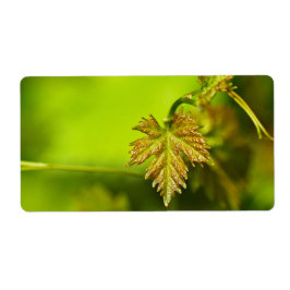 春つる植物離れ ラベル