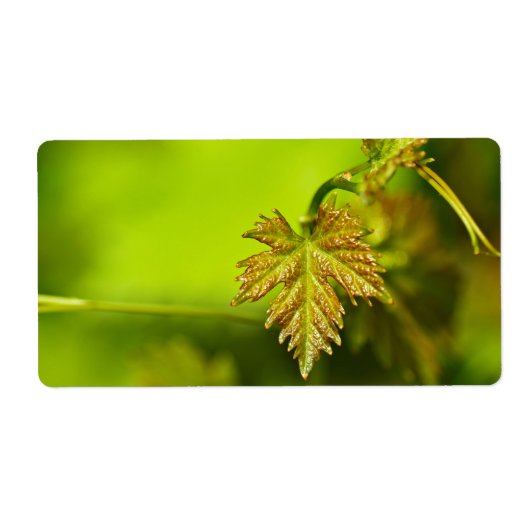 春つる植物離れ ラベル (正面)