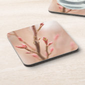 春によってはコルクのコースターが夢を見ます コースター (左側)