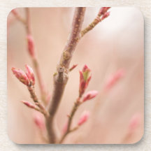 春によってはコルクのコースターが夢を見ます