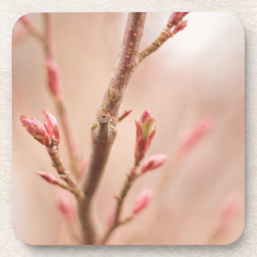 春によってはコルクのコースターが夢を見ます コースター (正面)