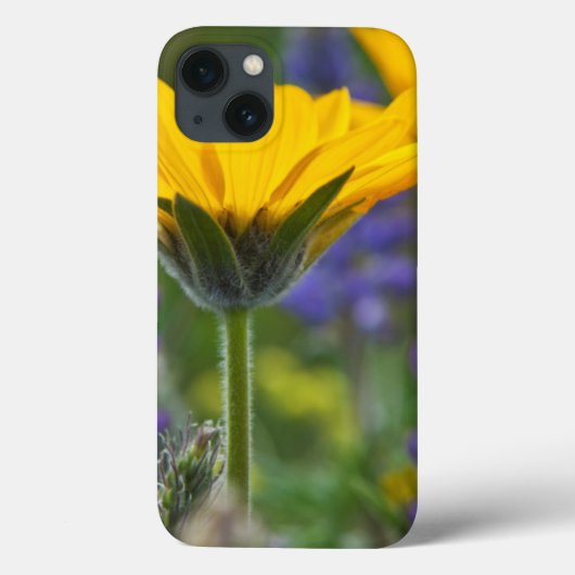 春に咲くオウシュウヒマワリとルピナス Case-Mate iPhoneケース (裏面)