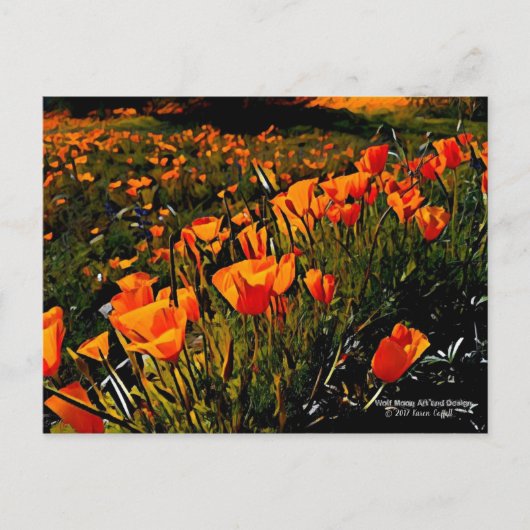 春に咲くオレンジ色のメキシコの金ゴールドのケシ ポストカード (正面)
