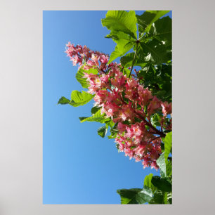 春に咲くクリの木の花 ポスター