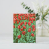 春に咲くチューリップの花畑 ポストカード (スタンド正面)
