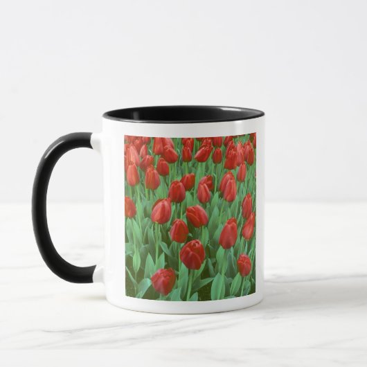 春に咲くチューリップの花畑 マグカップ (左)