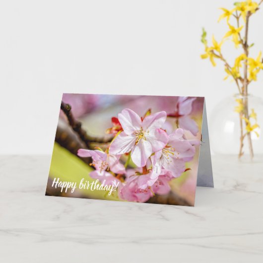 春に咲くピンクの桜の花の素晴らしい束 カード (黄色い花)