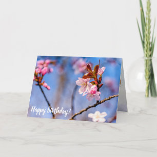 春に咲く新鮮な桜の花の美しさ カード