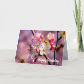 春に桜の花が咲く カード (正面)